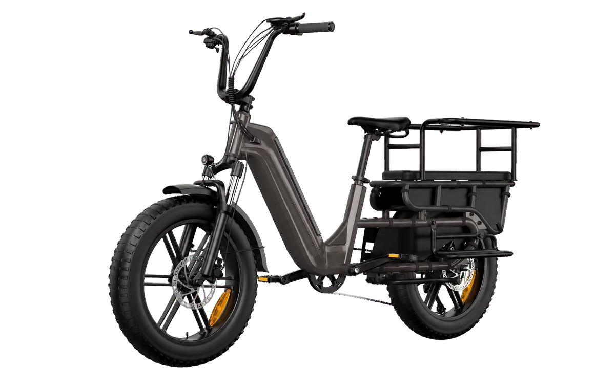 eRides Hove CargoBike